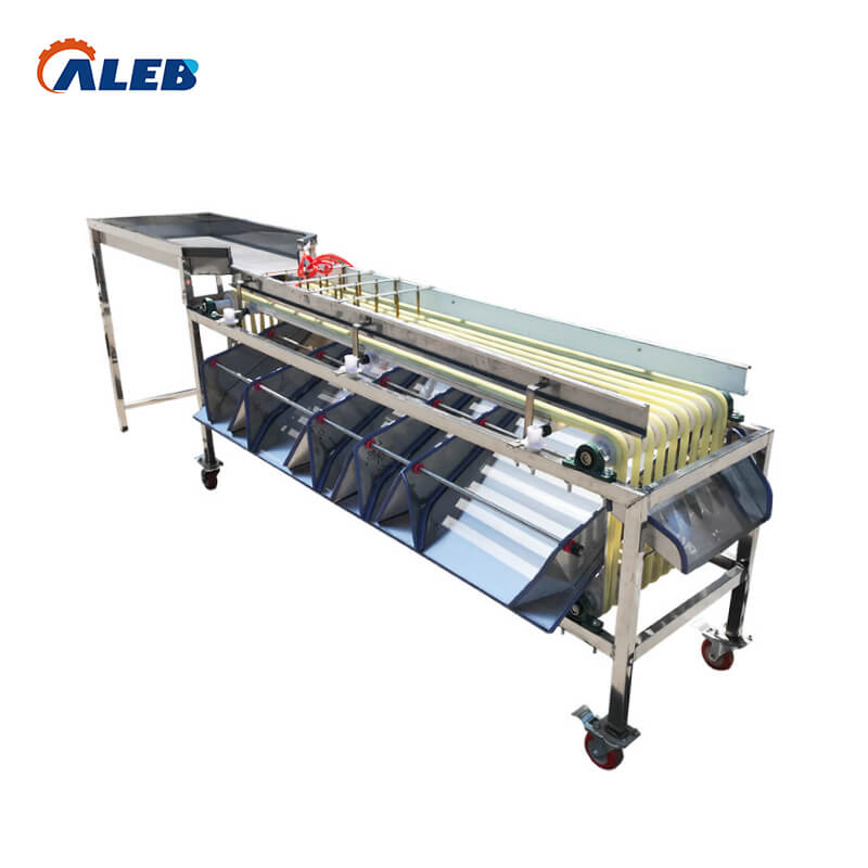 Vegetable Processing Machinery