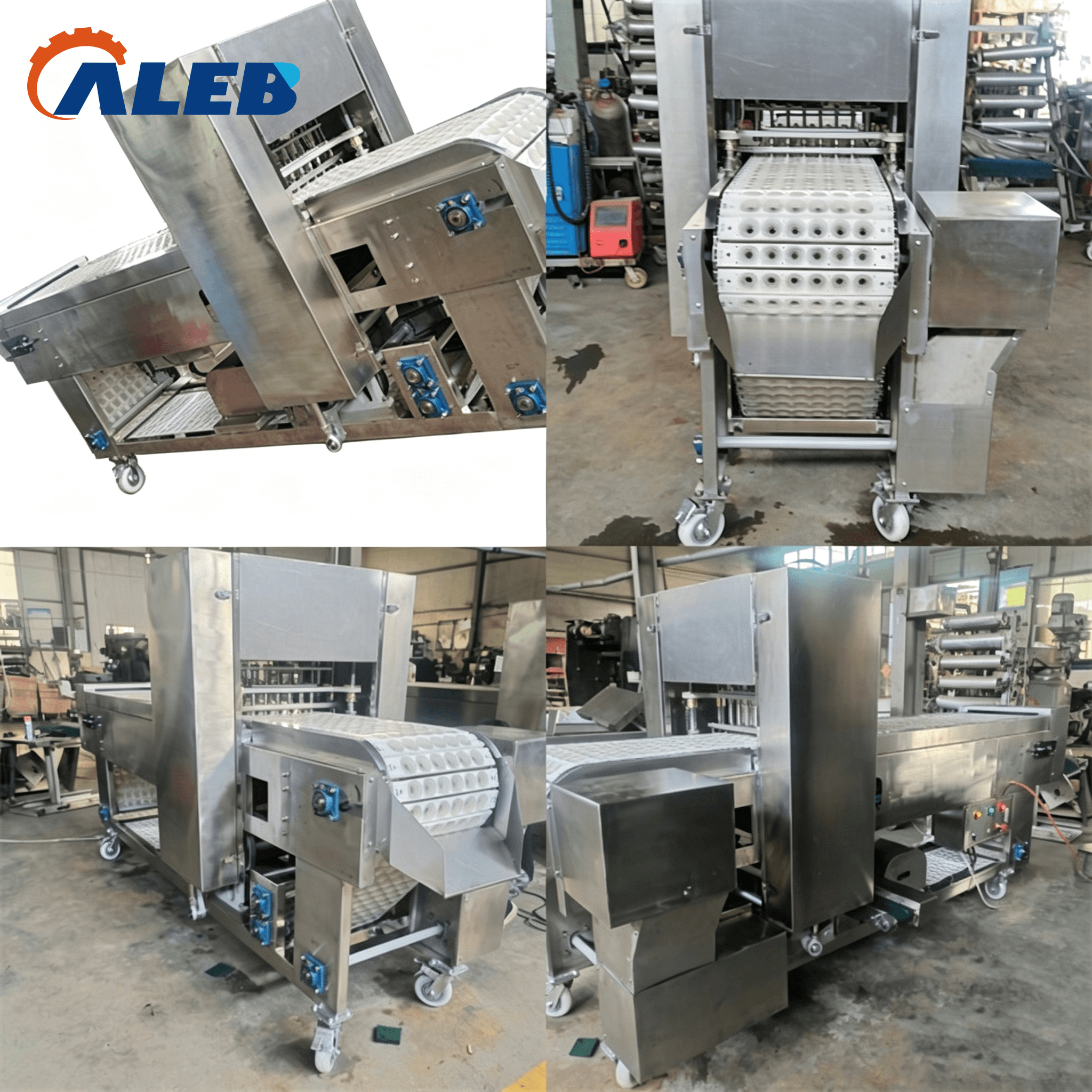 roselle core removing machine1 (4)